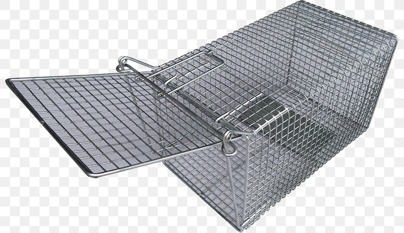Rat Trap Trapping Cage Rodent, PNG, 800x474px, Rat, Animal, Cage, Fish Trap, Material Download Free