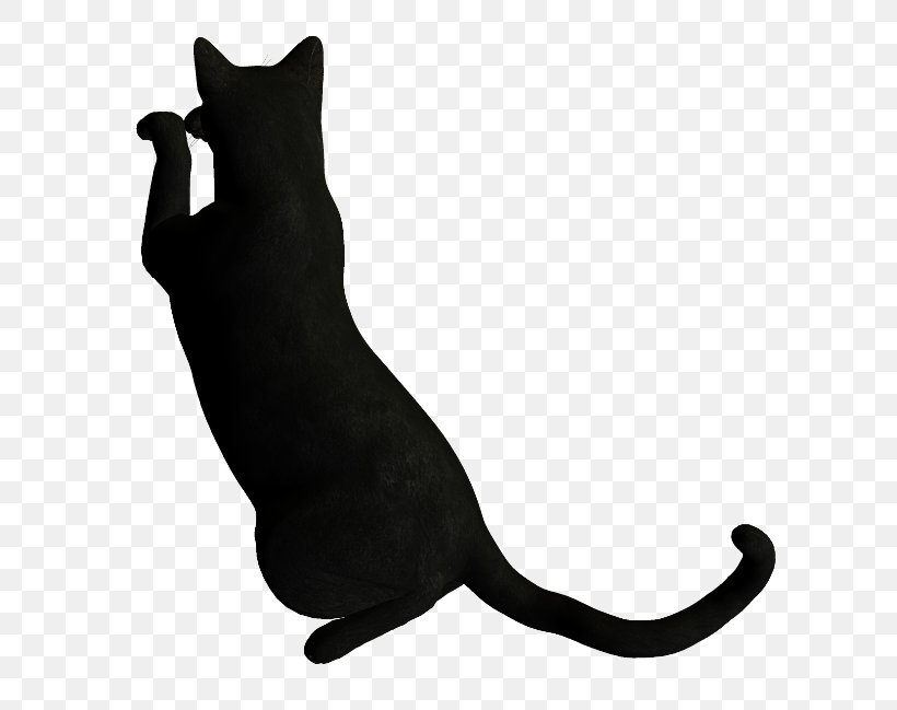 Whiskers Cat Font Tail Black M, PNG, 650x649px, Whiskers, Black, Black And White, Black Cat, Black M Download Free