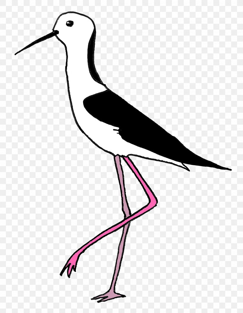 White Stork Clip Art Beak Neck, PNG, 1630x2099px, White Stork, Beak, Bird, Charadriiformes, Ciconiiformes Download Free