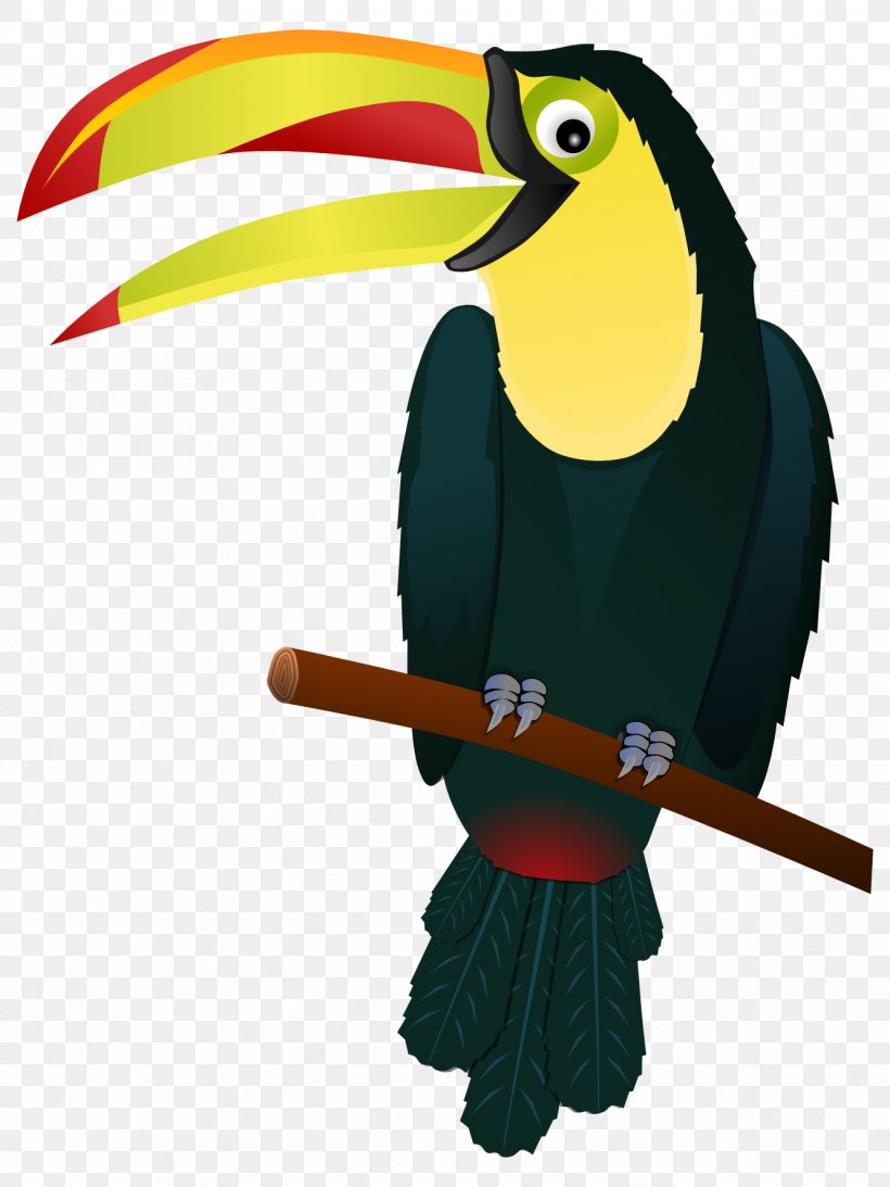 Bird Keel-billed Toucan Clip Art, PNG, 1331x1775px, Bird, Beak, Cuteness, Document, Fauna Download Free