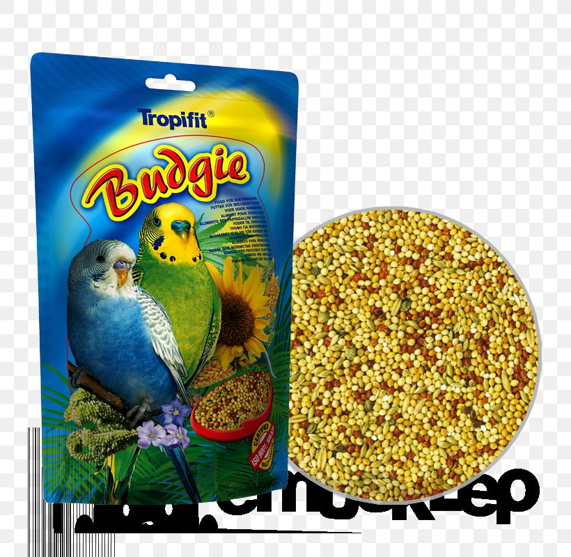Budgerigar Bird Food Cockatiel Parrot, PNG, 800x800px, Budgerigar, Aquarium Fish Feed, Atlantic Canary, Bird, Bird Food Download Free