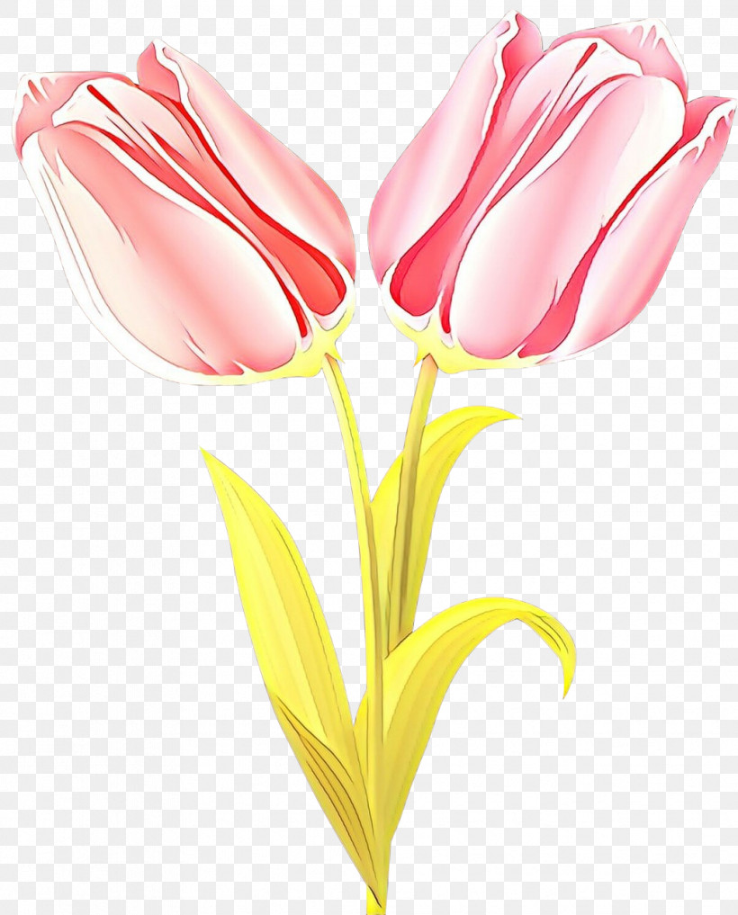 Flower Pink Tulip Petal Cut Flowers, PNG, 1032x1280px, Flower, Closeup, Cut Flowers, Petal, Pink Download Free