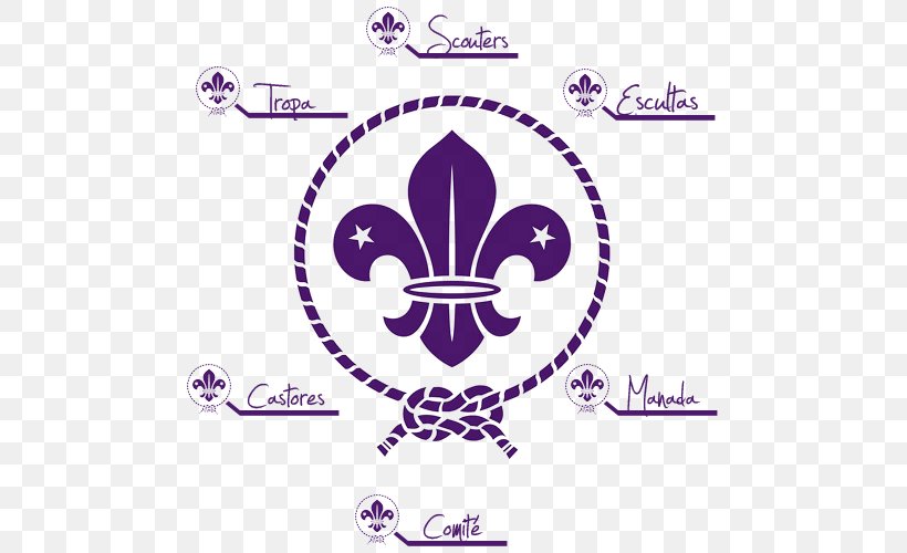 World Organization Of The Scout Movement World Scout Emblem Scouting For Boys The Scout Association, PNG, 500x500px, World Scout Emblem, Area, Boy Scouts Of America, Brand, Cub Scout Download Free