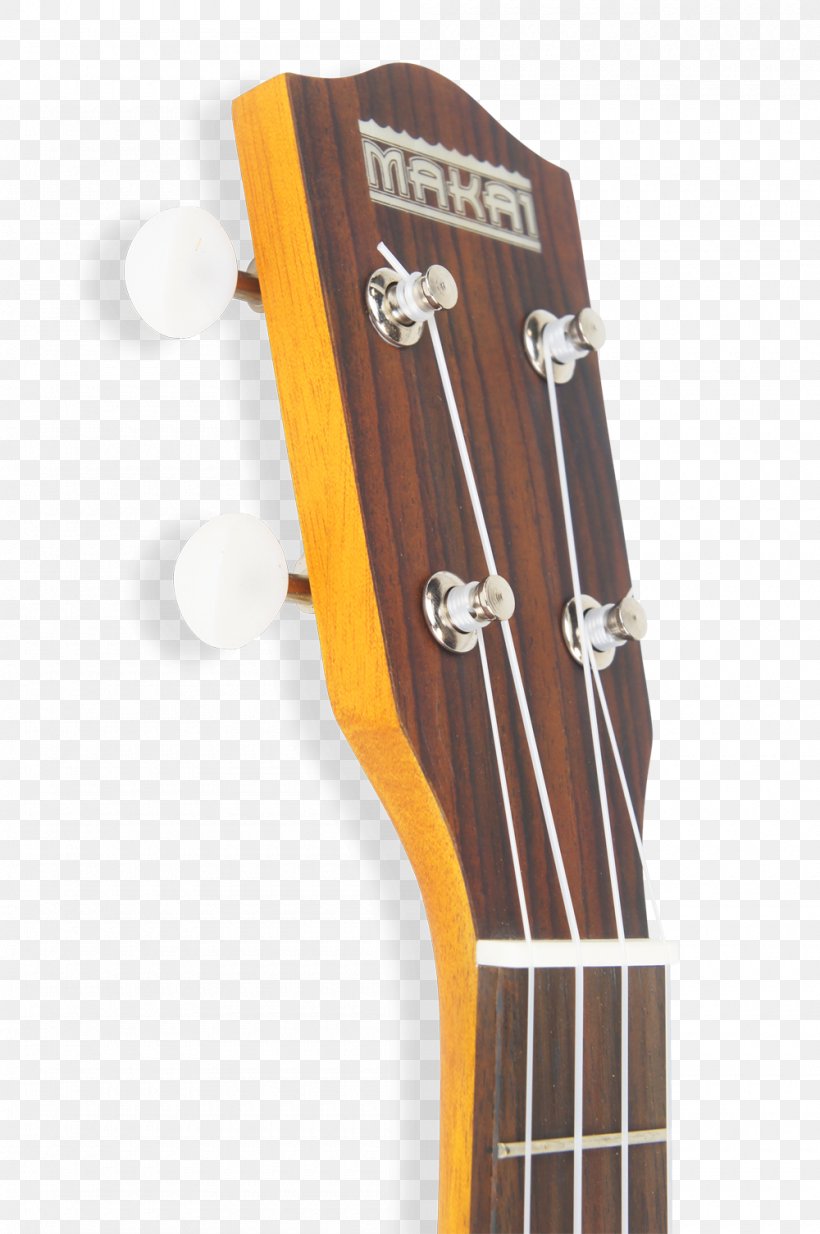 Acoustic Guitar Ukulele Bass Guitar Tiple Cavaquinho, PNG, 1000x1505px, Watercolor, Cartoon, Flower, Frame, Heart Download Free