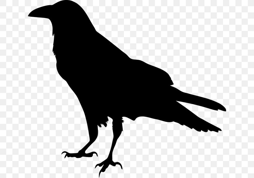 American Crow Common Raven Silhouette, PNG, 640x575px, American Crow, Beak, Bird, Black And White, Common Raven Download Free