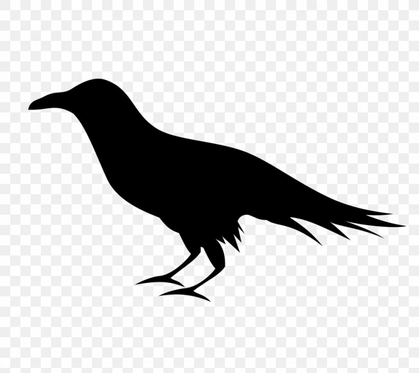 Common Raven Baltimore Ravens Clip Art, PNG, 1024x912px, Common Raven, Baltimore Ravens, Beak, Bird, Black And White Download Free