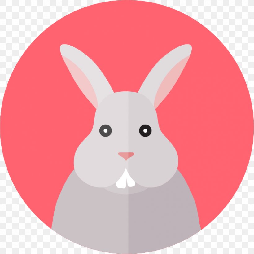 Image Vector Graphics Rabbit, PNG, 853x853px, Rabbit, Animal, Avatar, Computer Software, Domestic Rabbit Download Free