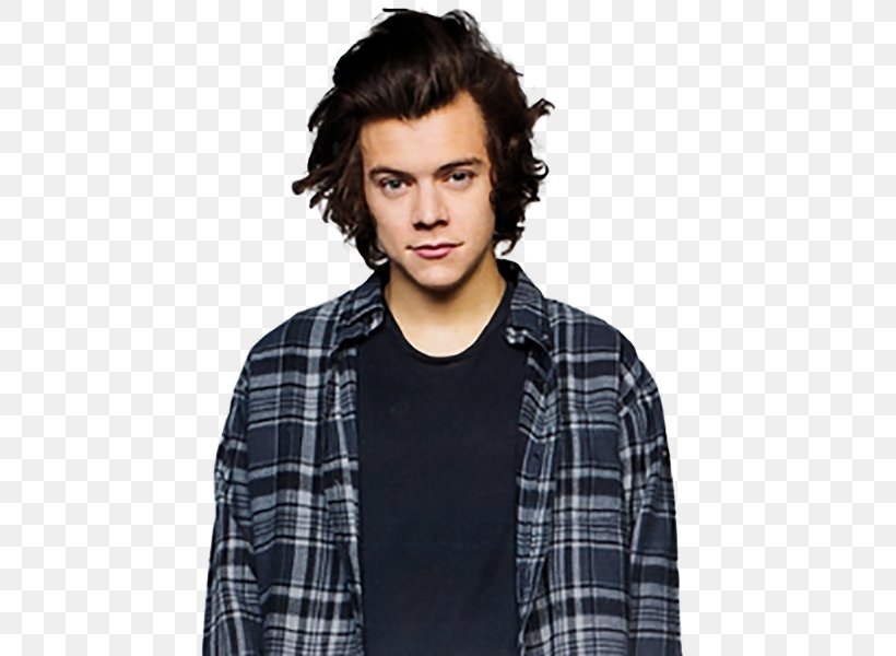 Harry Styles One Direction The X Factor, PNG, 488x600px, Watercolor, Cartoon, Flower, Frame, Heart Download Free