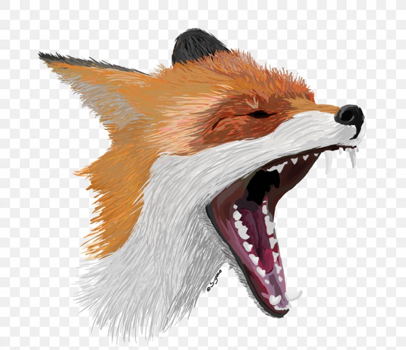 Red Fox Drawing DeviantArt Painting Digital Art, PNG, 1024x884px, Red Fox, Animal, Art, Carnivoran, Deviantart Download Free