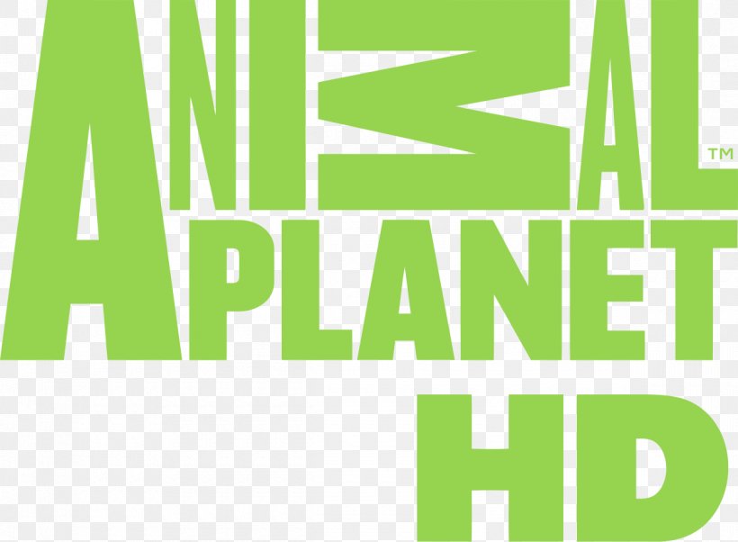 Animal Planet High-definition Television Television Channel Logo, PNG, 1200x881px, Animal Planet, Animal Planet Hd, Area, Brand, Discovery Channel Download Free