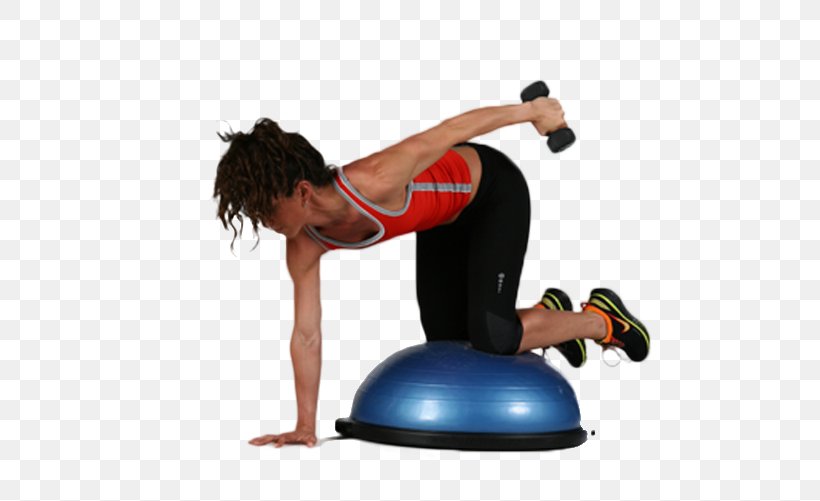 Exercise Balls BOSU Balance Pilates, PNG, 576x501px, Watercolor, Cartoon, Flower, Frame, Heart Download Free