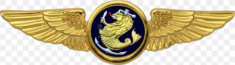 Aircrew Badge United States Navy Naval Aircrewman, PNG, 1338x376px, Aircrew Badge, Army Officer, Aviator Badge, Badge, Body Jewelry Download Free