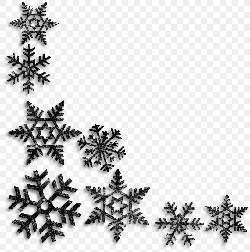 Clip Art Snowflake Image Transparency, PNG, 1022x1030px, Snowflake, Plant, Royaltyfree, Snow Download Free