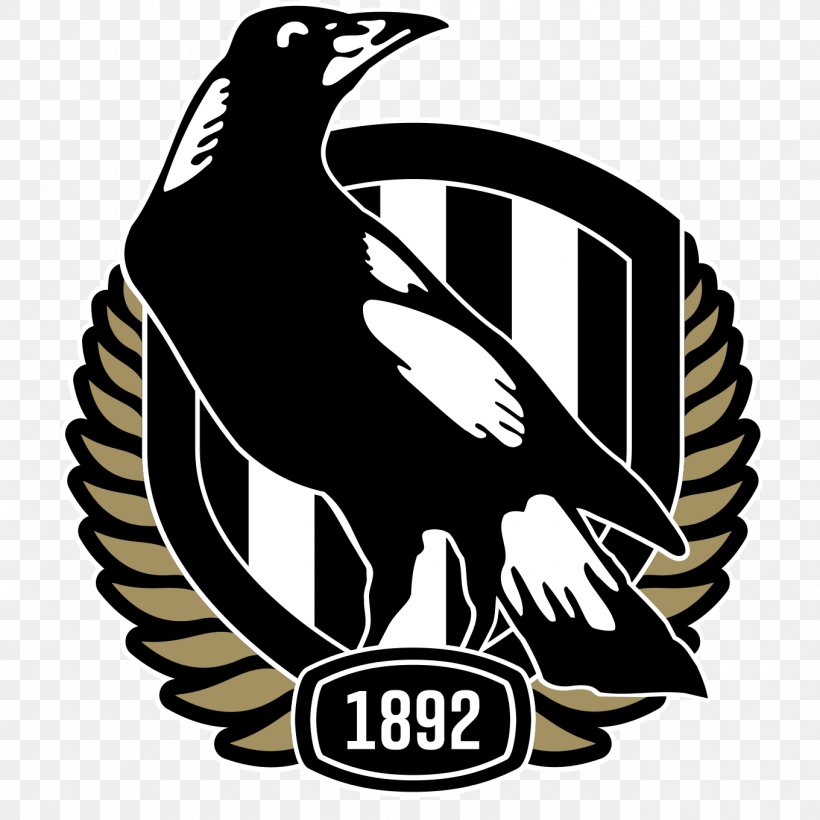 Collingwood Football Club Australian Football League AFL Women's Geelong Football Club Greater Western Sydney Giants, PNG, 1360x1360px, Collingwood Football Club, Australian Football League, Australian Rules Football, Beak, Bird Download Free