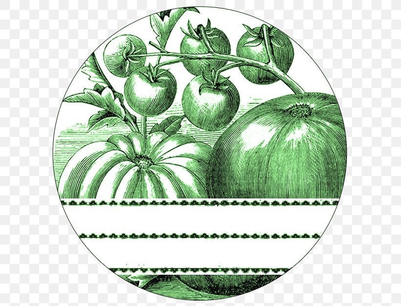 Gardening Salad Tomato Fruit, PNG, 627x626px, Garden, Canning, Engraving, Food, Fruit Download Free