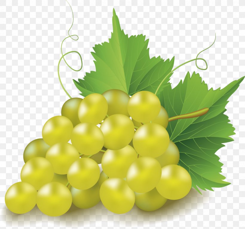 Grape Clip Art, PNG, 869x813px, Grape, Food, Fruit, Grape Leaves, Grapevine Family Download Free