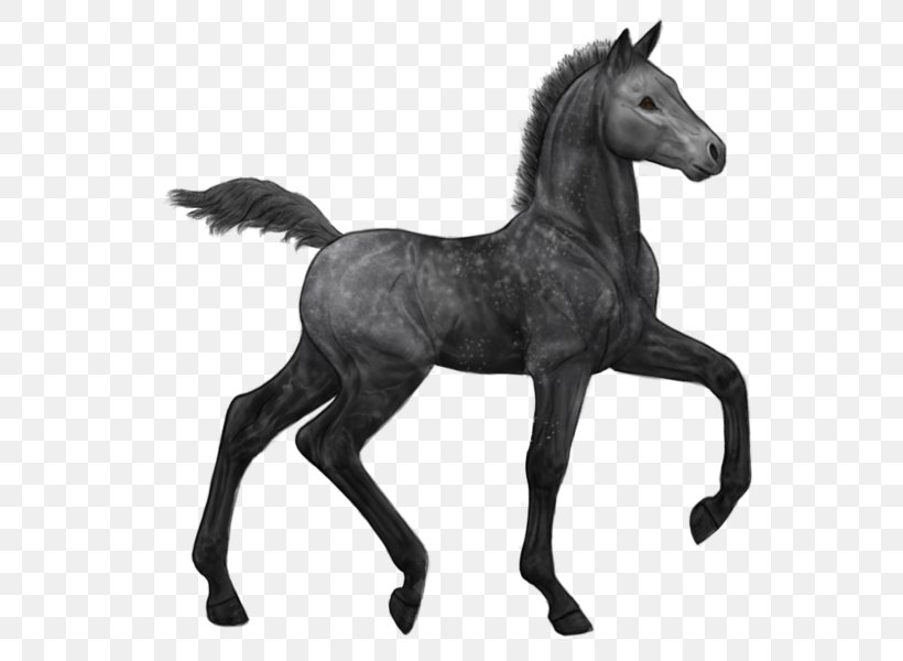 Mustang Stallion Arabian Horse Foal Colt, PNG, 600x600px, Mustang, Animal Figure, Arabian Horse, Art, Colt Download Free