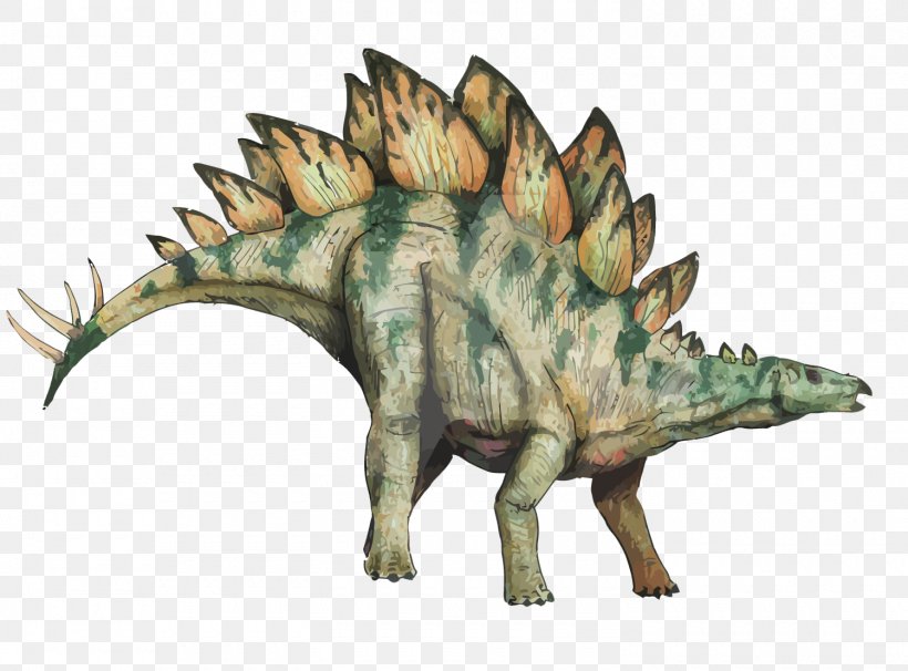 Stegosaurus Stegosauria Dinosaur, PNG, 1500x1110px, Stegosaurus, Dinosaur, Extinction, Fauna, Jurassic Download Free