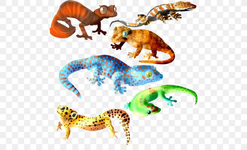 Tokay Gecko Lizard Gargoyle Gecko Crested Gecko, PNG, 500x500px, Gecko, Animal, Animal Figure, Common Leopard Gecko, Crested Gecko Download Free