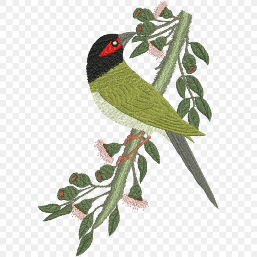 Australasian Figbird Feather Parakeet Beak, PNG, 1000x1000px, Bird, Beak, Branch, Common Pet Parakeet, Embroidery Download Free