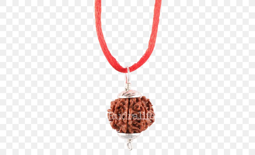 Rudraksha Rudralife Charms & Pendants Bead Locket, PNG, 500x500px, Rudraksha, Anticariat, Bead, Book, Charms Pendants Download Free