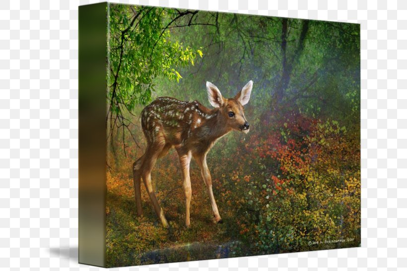 White-tailed Deer Canvas Print Printing Painting, PNG, 650x547px, Whitetailed Deer, Animal, Antler, Art, Art Museum Download Free