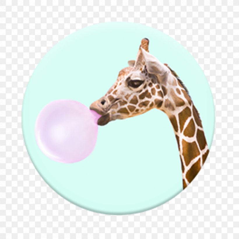 Chewing Gum Bubble Gum PopSockets Grip Stand Mobile Phones, PNG, 1200x1200px, Chewing Gum, Animal, Bubble, Bubble Gum, Chewing Download Free