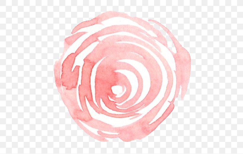 Rose Family Pink M Fahrenheit, PNG, 552x521px, Rose Family, Fahrenheit, Pink, Pink M, Rose Download Free
