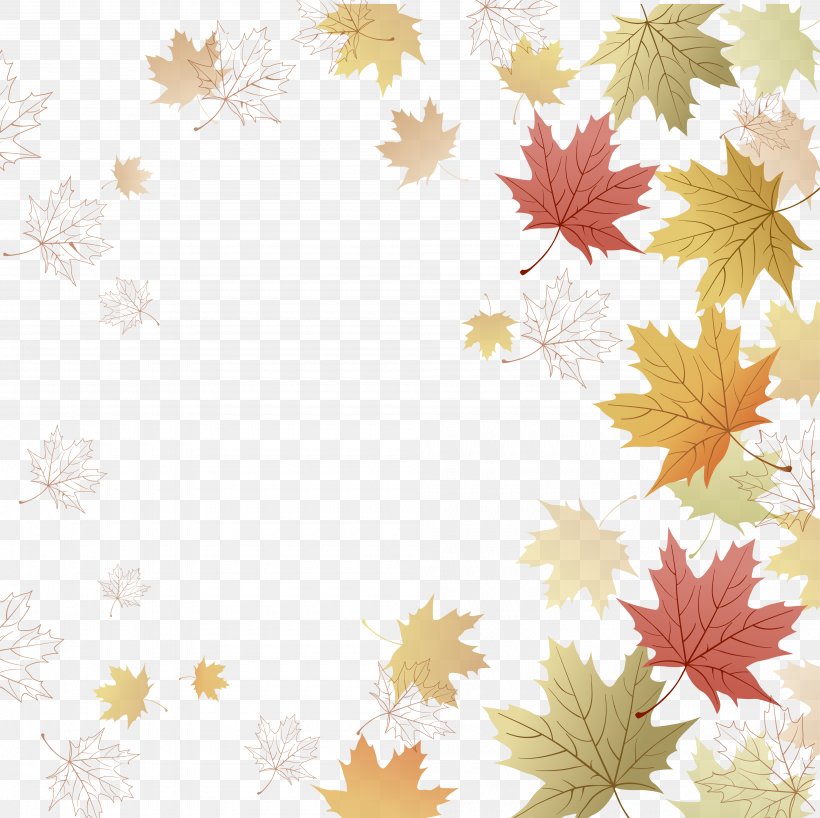 Maple Leaf Paper Information Letter, PNG, 4000x3991px, Maple Leaf, Branch, Envelope, Flora, Floral Design Download Free