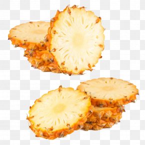 Pineapple Slice - Pineapple Slice Fruit PNG