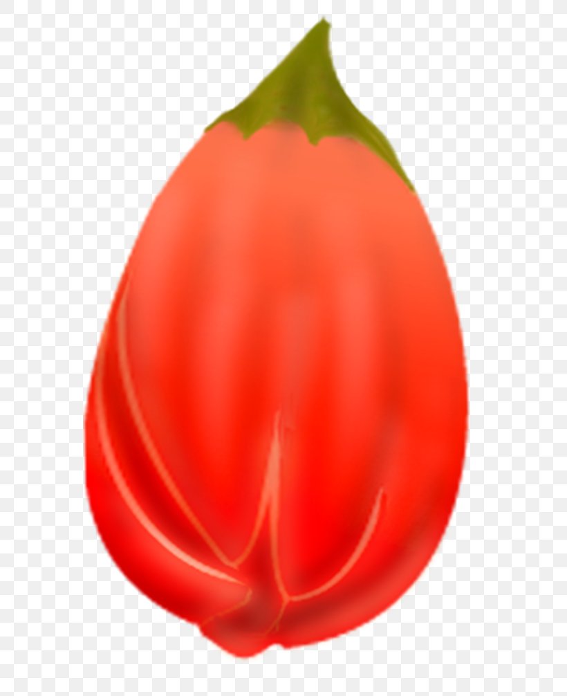 Pomegranate Shab-e Yalda, PNG, 663x1006px, Pomegranate, Blog, Close Up, Filename Extension, Flower Download Free