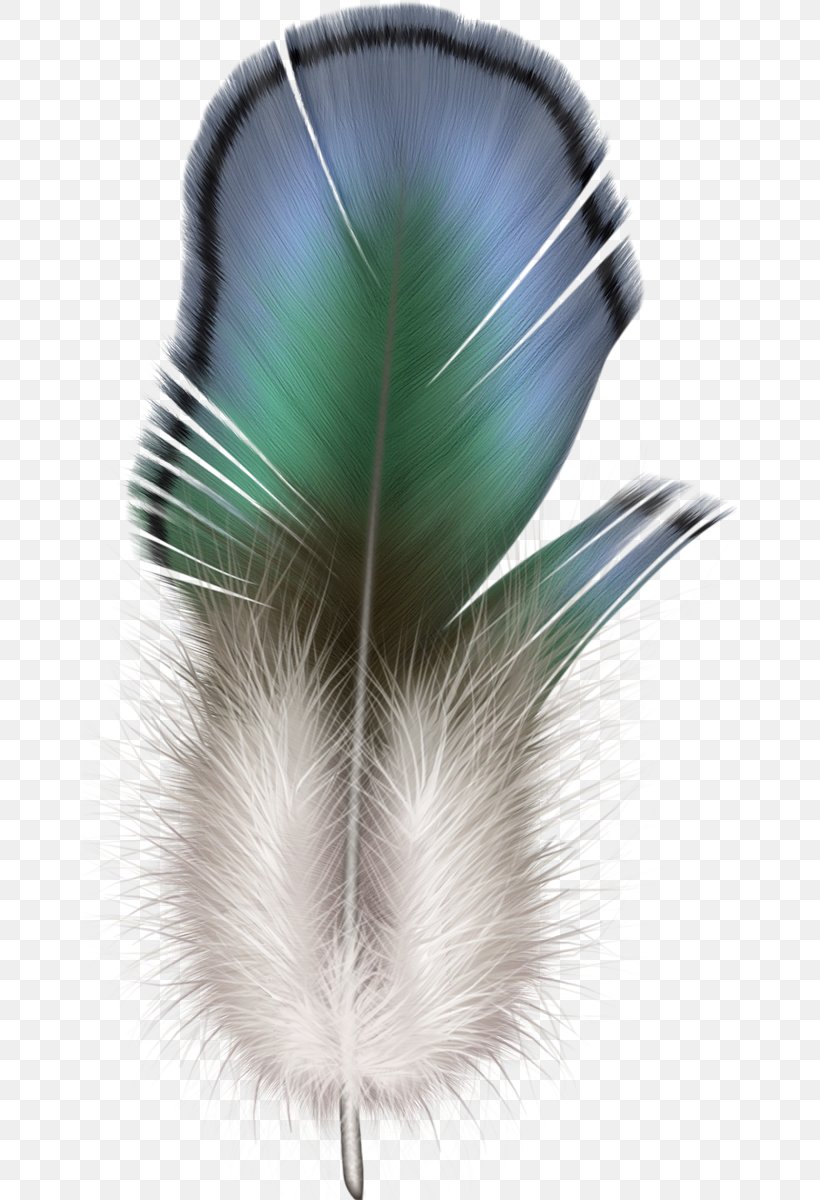 The Floating Feather Clip Art, PNG, 654x1200px, Floating Feather, Bird, Feather, Organism, Painting Download Free
