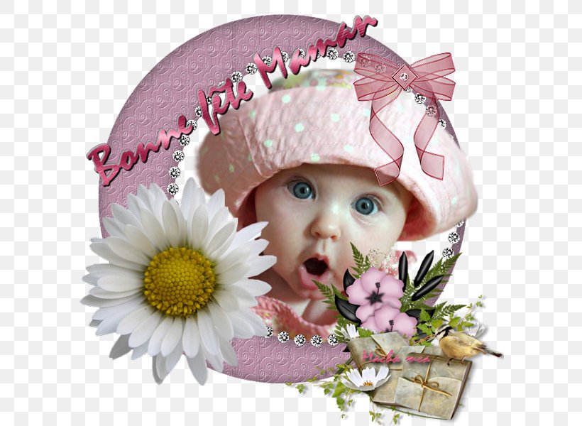 Transvaal Daisy Infant Headgear Pink M, PNG, 600x600px, Transvaal Daisy, Child, Flower, Flowering Plant, Gerbera Download Free
