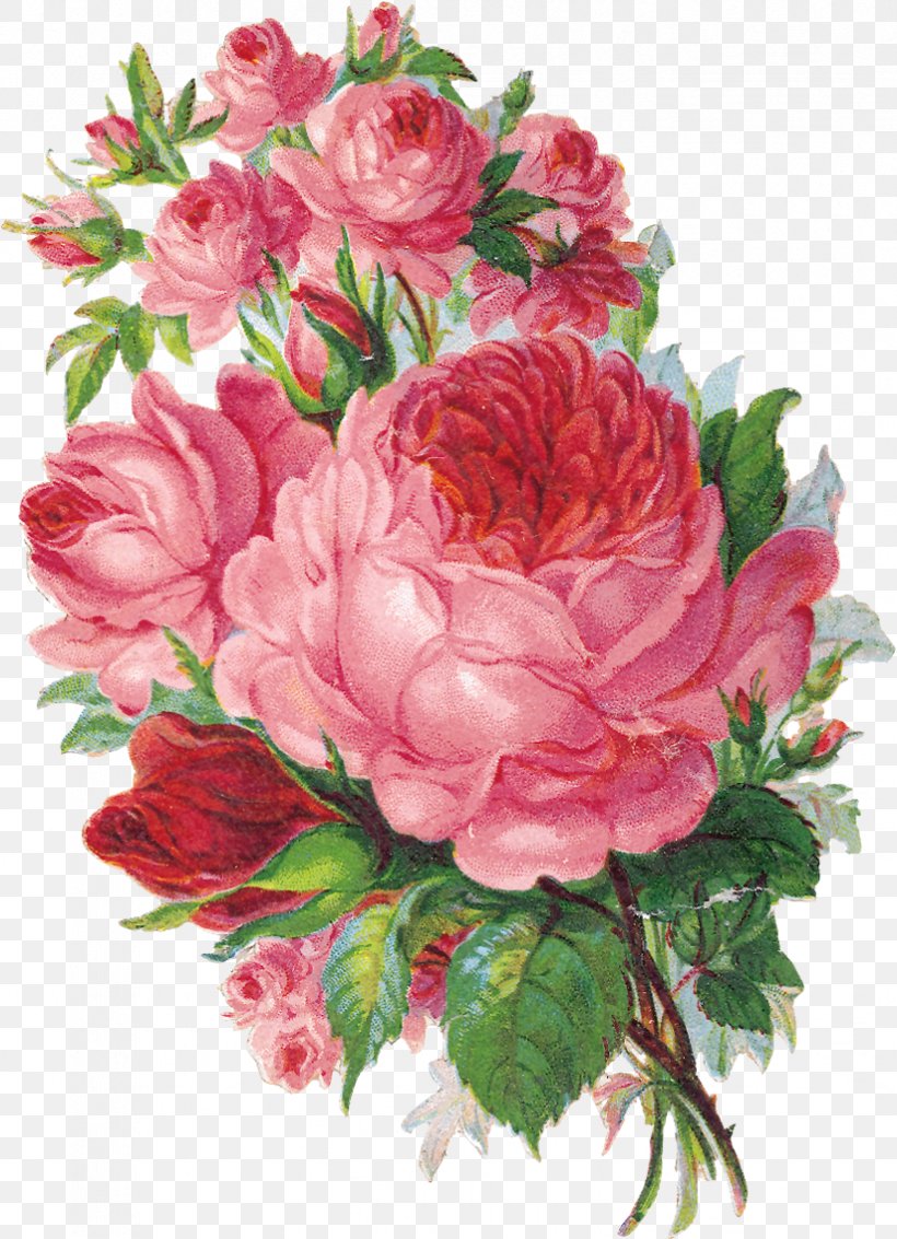 Floristry Flower Garden Roses Watercolor Painting, PNG, 823x1138px, Floristry, Annual Plant, Artificial Flower, Begonia, Carnation Download Free