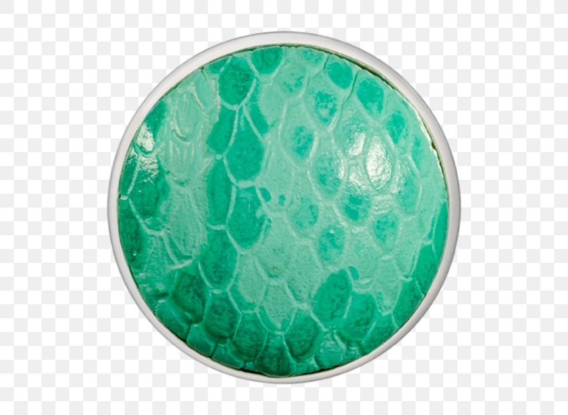 Green Silver Snake Turquoise Coin, PNG, 600x600px, Green, Aqua, Coin, Leather, Organism Download Free