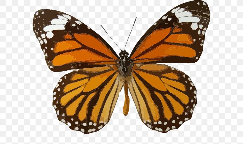 Monarch Butterfly Insect Clip Art, PNG, 600x485px, Butterfly, Arthropod, Brush Footed Butterfly, Butterflies And Moths, Danaus Genutia Download Free