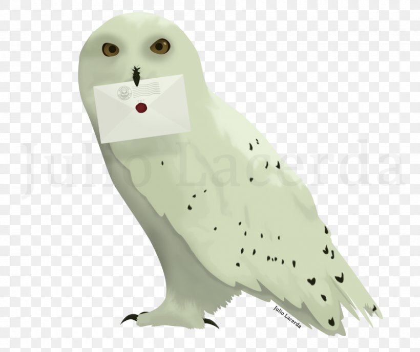 Owl Harry Potter And The Deathly Hallows Hogwarts Hedwig, PNG, 900x756px, Owl, Art, Beak, Bird, Bird Of Prey Download Free