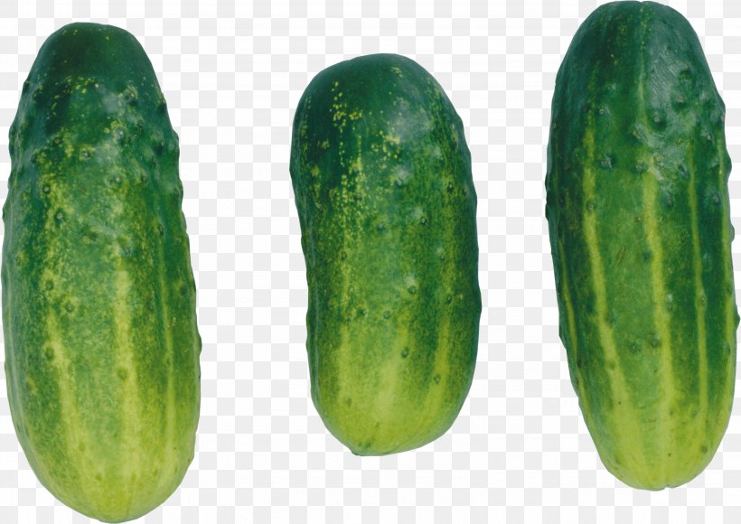 Pickled Cucumber Clip Art, PNG, 3194x2263px, Cucumber, Cucumber Gourd And Melon Family, Cucumis, Food, Gherkin Download Free