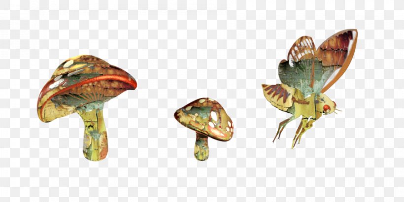 Psilocybin Mushroom Butterflies And Moths, PNG, 900x451px, Psilocybin Mushroom, Butterflies And Moths, Deviantart, Insect, Invertebrate Download Free