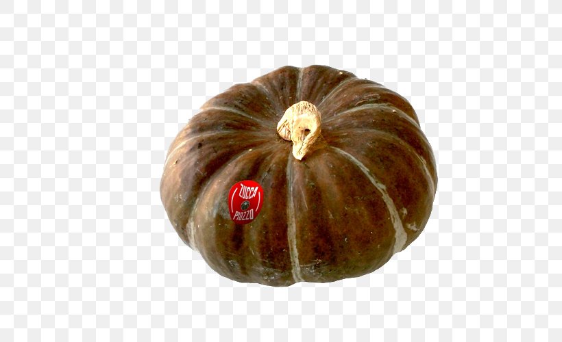 Gourd Zucche.Net Calabaza Pumpkin Cucurbita, PNG, 500x500px, Gourd, Calabaza, Commodity, Consumer, Cucumber Gourd And Melon Family Download Free