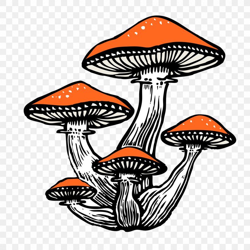 Orange, PNG, 1200x1200px, Mushroom, Edible Mushroom, Orange Download Free
