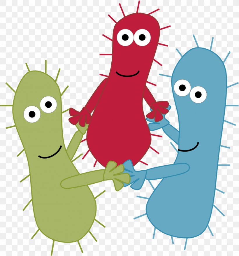 Quorum Sensing Bacteria Biofilm Infection, PNG, 987x1058px, Watercolor, Cartoon, Flower, Frame, Heart Download Free