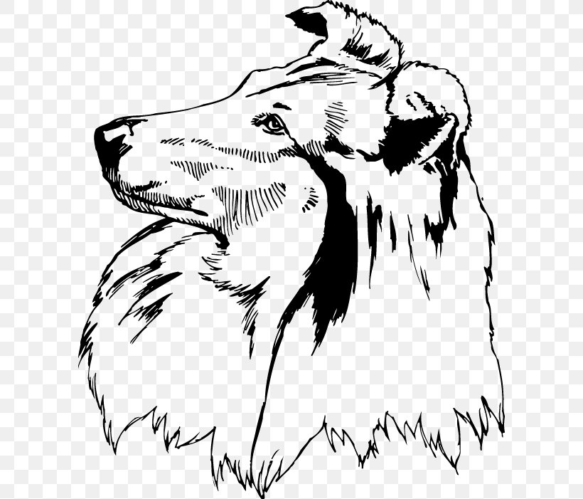 Rough Collie Shetland Sheepdog Scotch Collie Clip Art, PNG, 600x701px, Rough Collie, Art, Artwork, Big Cats, Black And White Download Free