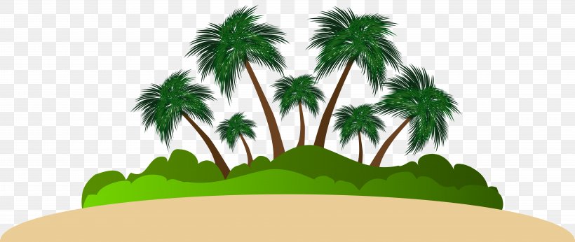 Arecaceae Logo Text Font Illustration, PNG, 8000x3379px, Doini Island, Area, Arecales, Desert Island, Flowering Plant Download Free