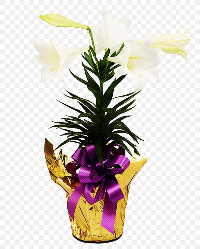 Artificial Flower, PNG, 800x1018px, Flower, Anthurium, Artificial Flower, Cattleya, Cut Flowers Download Free