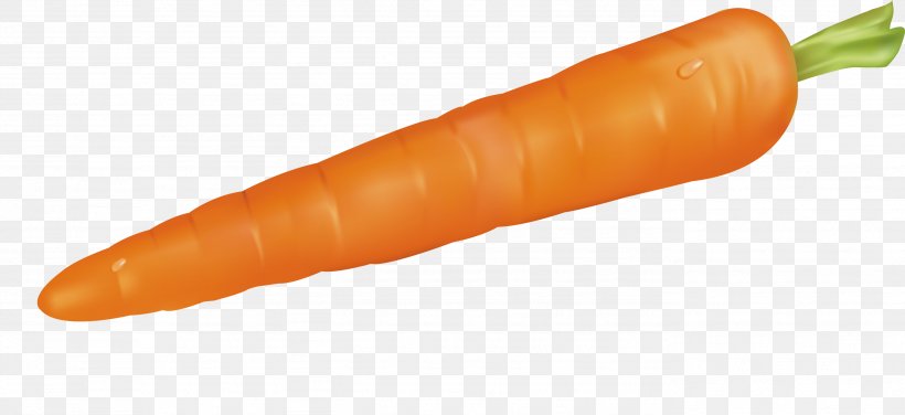 Bockwurst Baby Carrot Knackwurst Cervelat Frankfurter Wxfcrstchen, PNG, 2768x1270px, Bockwurst, Baby Carrot, Bologna Sausage, Carrot, Cervelat Download Free