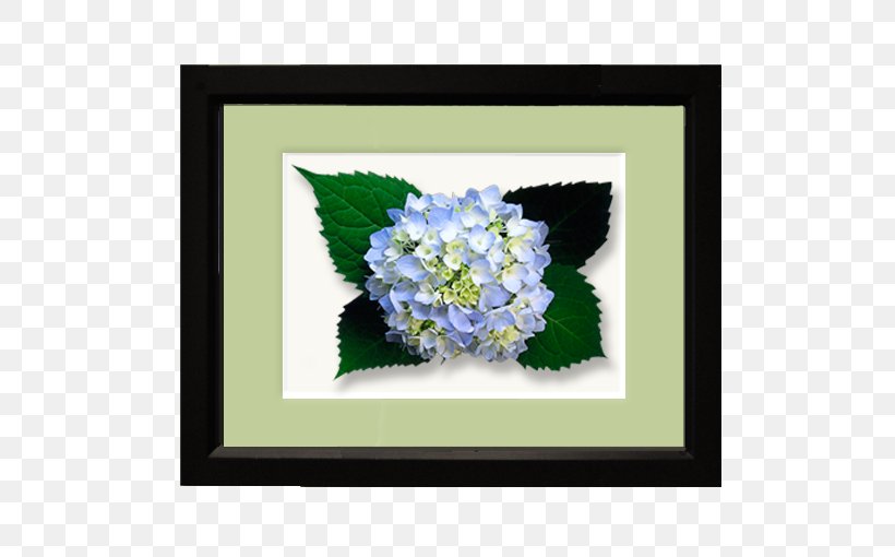 Flower Floral Design Hydrangea Floristry, PNG, 510x510px, Flower, Blue, Cornales, Flora, Floral Design Download Free