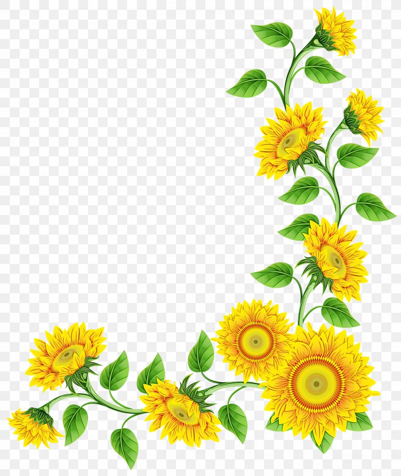 Flower Download Image Pot Marigold, PNG, 2524x3000px, Flower, Calendula, Chamomile, Common Sunflower, Cut Flowers Download Free