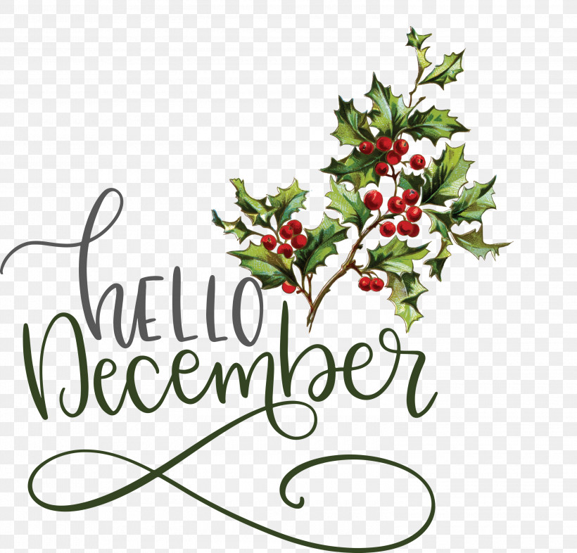 Hello December Winter December, PNG, 3000x2879px, Hello December, Christmas Day, December, Drawing, Idea Download Free