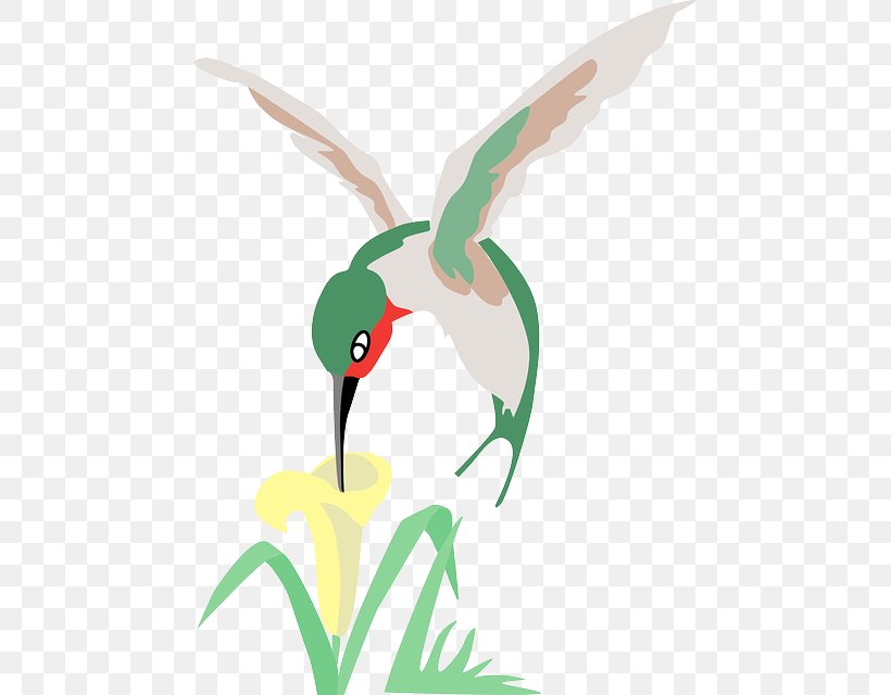 Hummingbird Flower Clip Art, PNG, 461x640px, Hummingbird, Art, Beak, Bird, Chicken Download Free